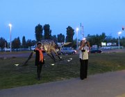 IMG 4605