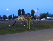 IMG 4606